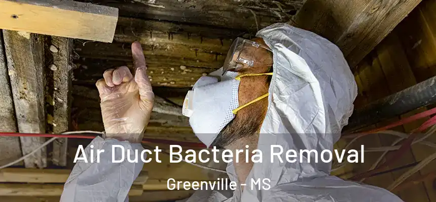  Air Duct Bacteria Removal Greenville - MS