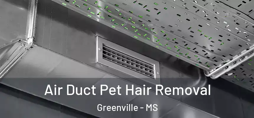Air Duct Pet Hair Removal Greenville - MS