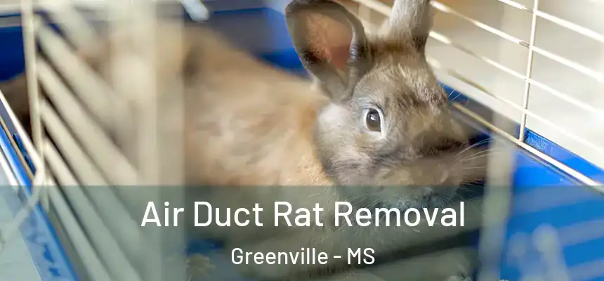 Air Duct Rat Removal Greenville - MS