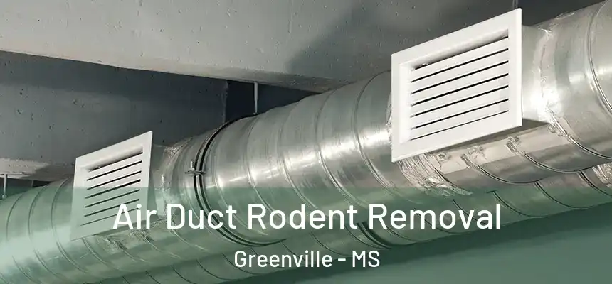  Air Duct Rodent Removal Greenville - MS