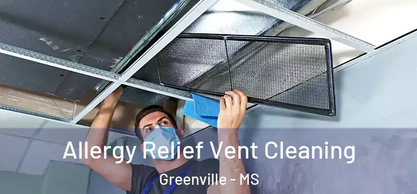 Allergy Relief Vent Cleaning Greenville - MS