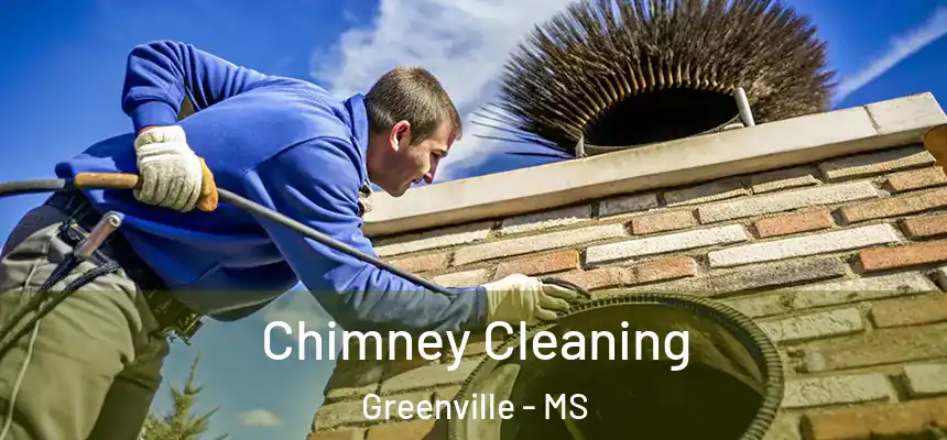 Chimney Cleaning Greenville - MS