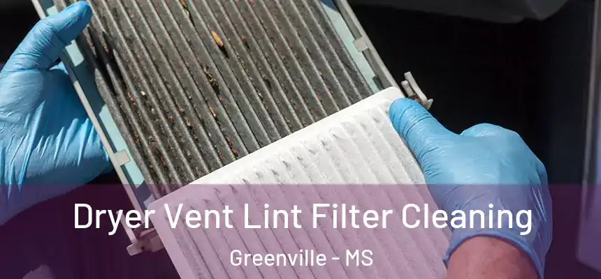  Dryer Vent Lint Filter Cleaning Greenville - MS