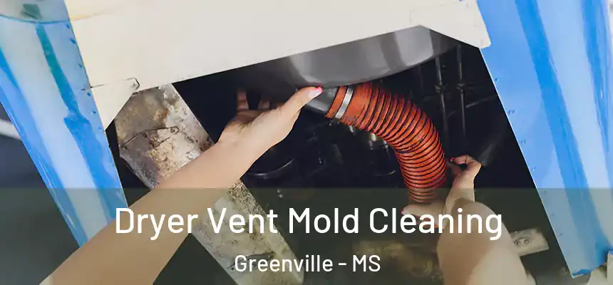 Dryer Vent Mold Cleaning Greenville - MS