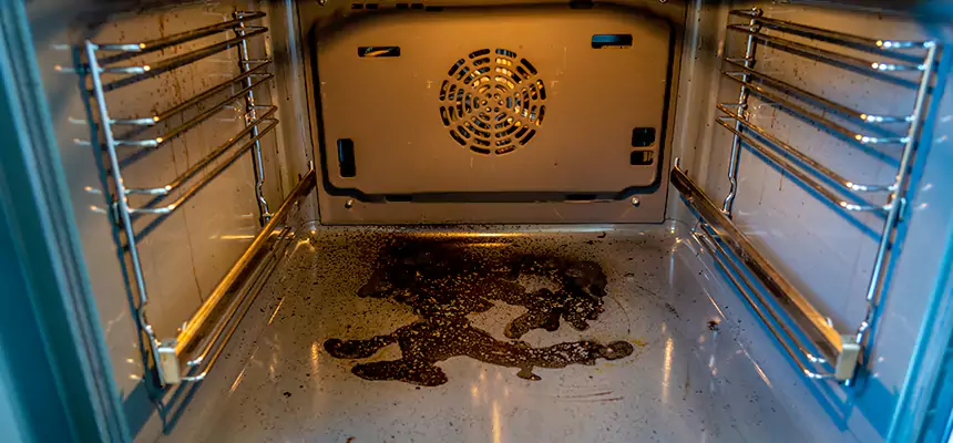 Our Dryer Vent Mold Cleaning Services in Greenville, MS