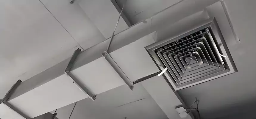 Our Rodent Droppings In Vents Services in Greenville, MS