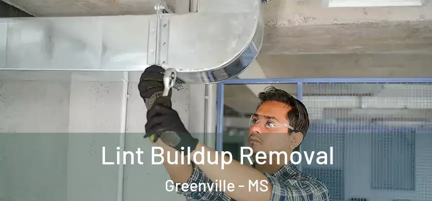 Lint Buildup Removal Greenville - MS