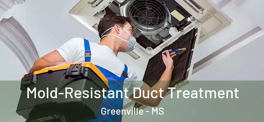 Mold-Resistant Duct Treatment Greenville - MS