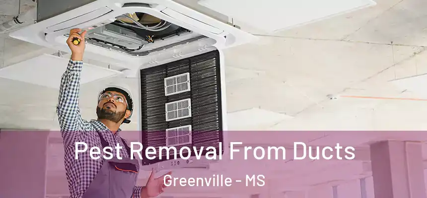 Pest Removal From Ducts Greenville - MS