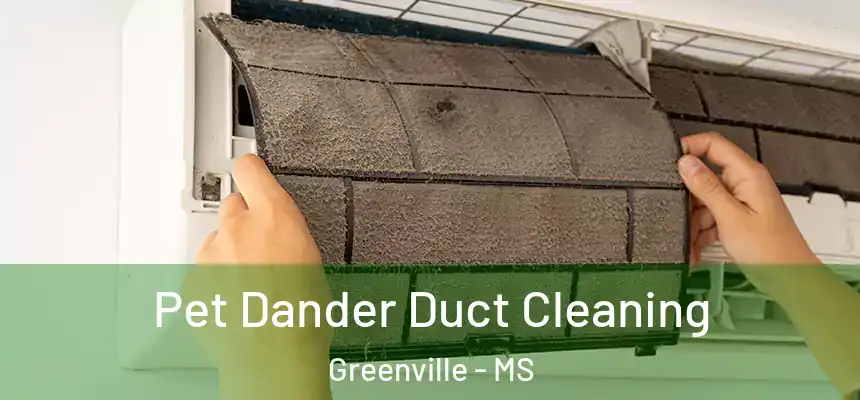 Pet Dander Duct Cleaning Greenville - MS