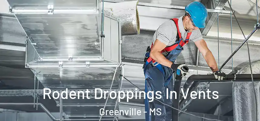  Rodent Droppings In Vents Greenville - MS