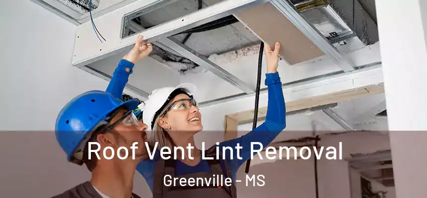  Roof Vent Lint Removal Greenville - MS
