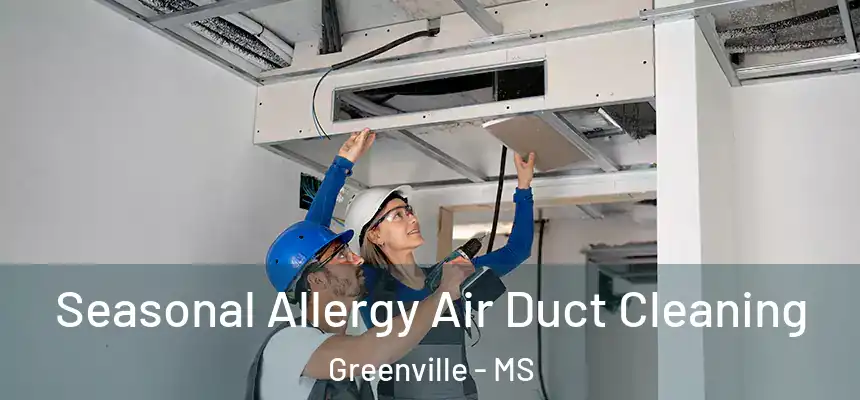  Seasonal Allergy Air Duct Cleaning Greenville - MS