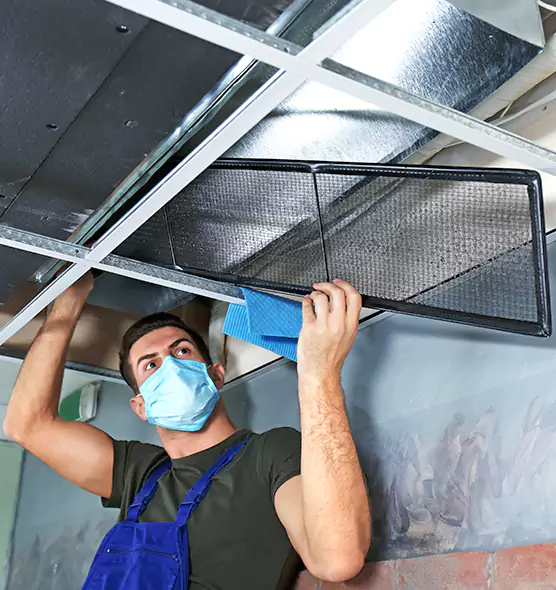 About Air Duct Bacteria Removal in Greenville