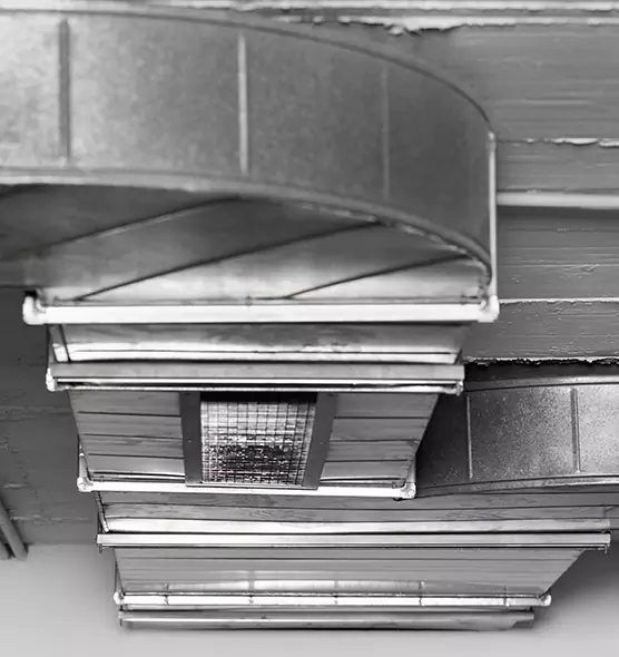 Professional Air Duct Pet Hair Removal in Greenville, MS