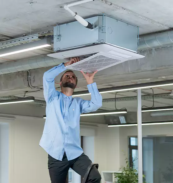 Advanced Rodent Droppings In Vents in Greenville, MS