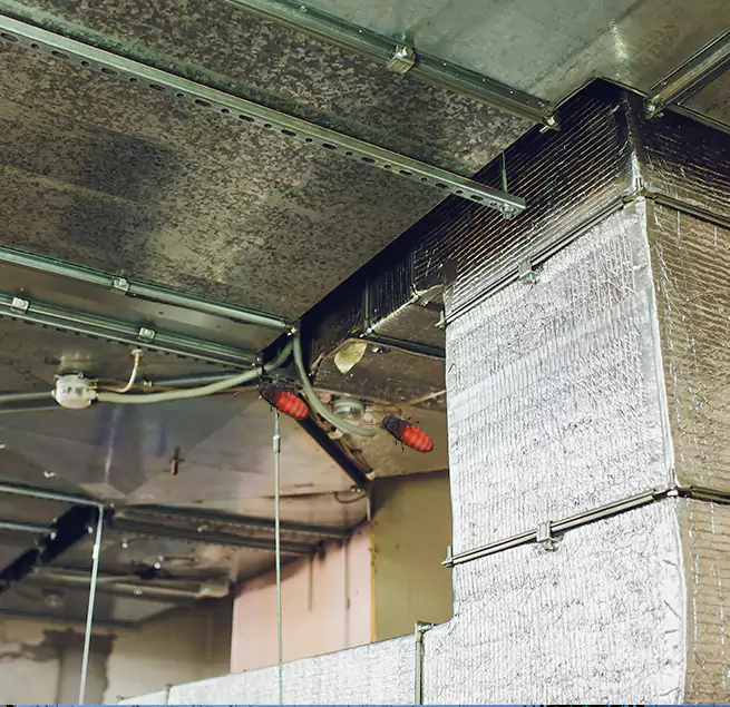 Why Homeowners & Businesses Trust Us Greenville, MS?