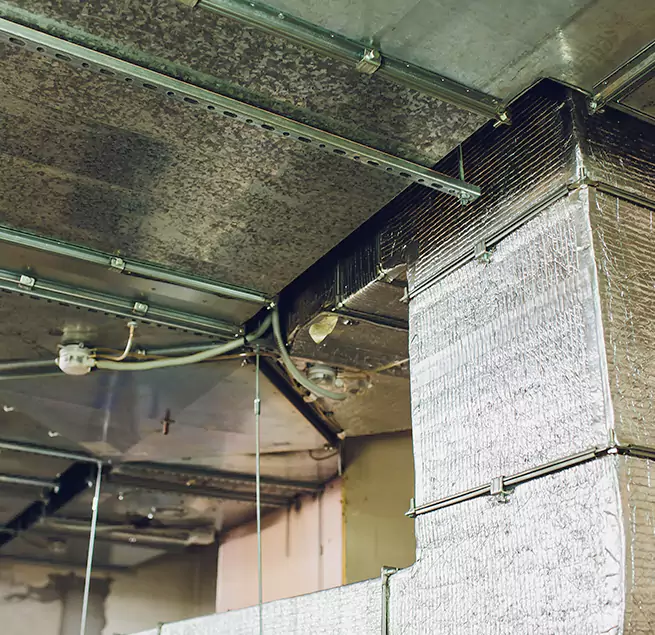 Why Homeowners & Businesses Trust Us in Greenville, MS?