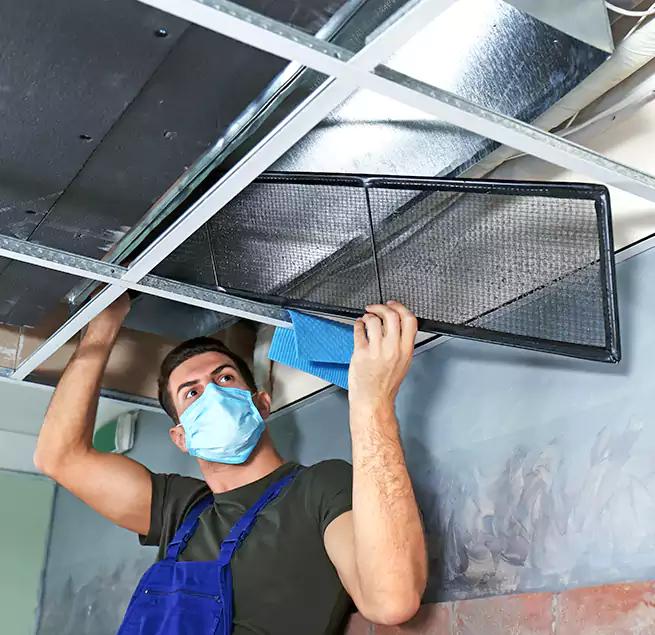 Why Homeowners Businesses Trust Us in Greenville, MS