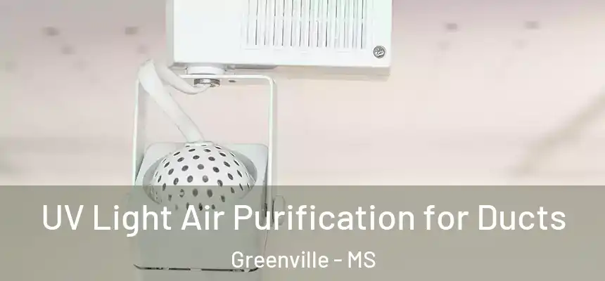  UV Light Air Purification for Ducts Greenville - MS